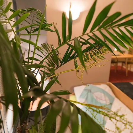 Cosy Accommodation In Top Center Apartment *